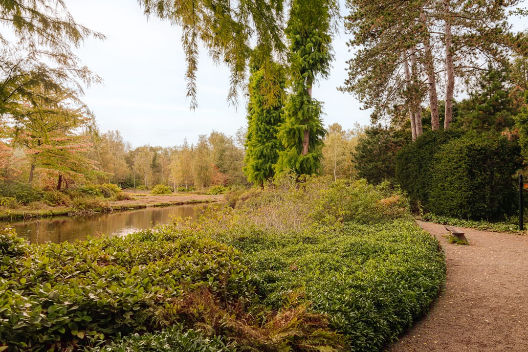 Foto 53 van Amsterdamseweg 326