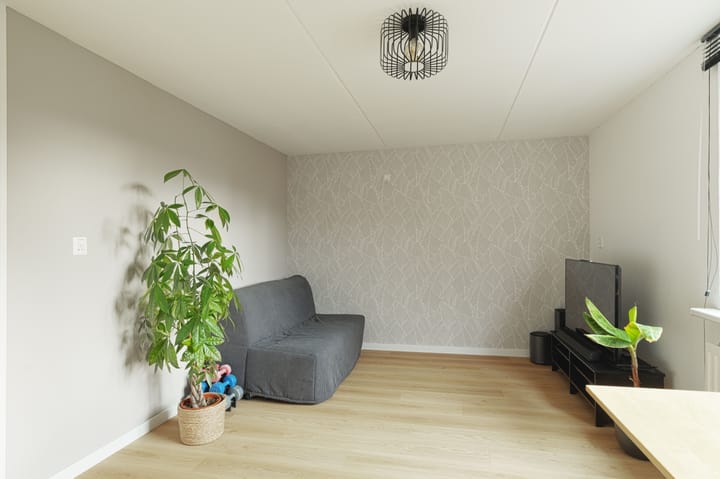 Foto 18 van Reiger 47