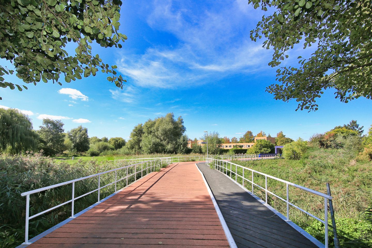 Foto 55 van Count Basiestraat 22