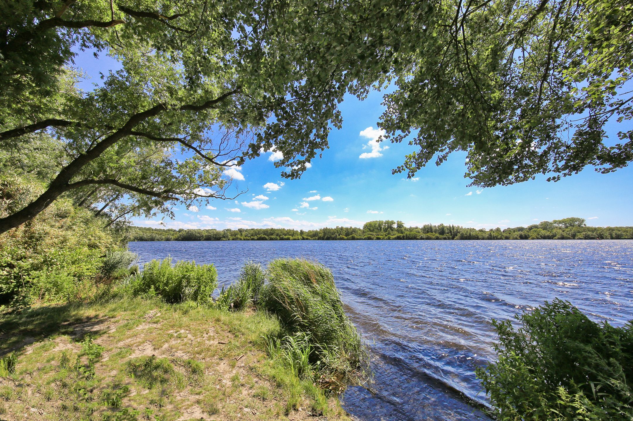 Foto 57 van Count Basiestraat 22