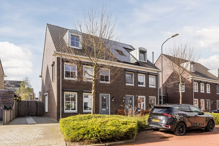 Fluitenkruid 8 main image