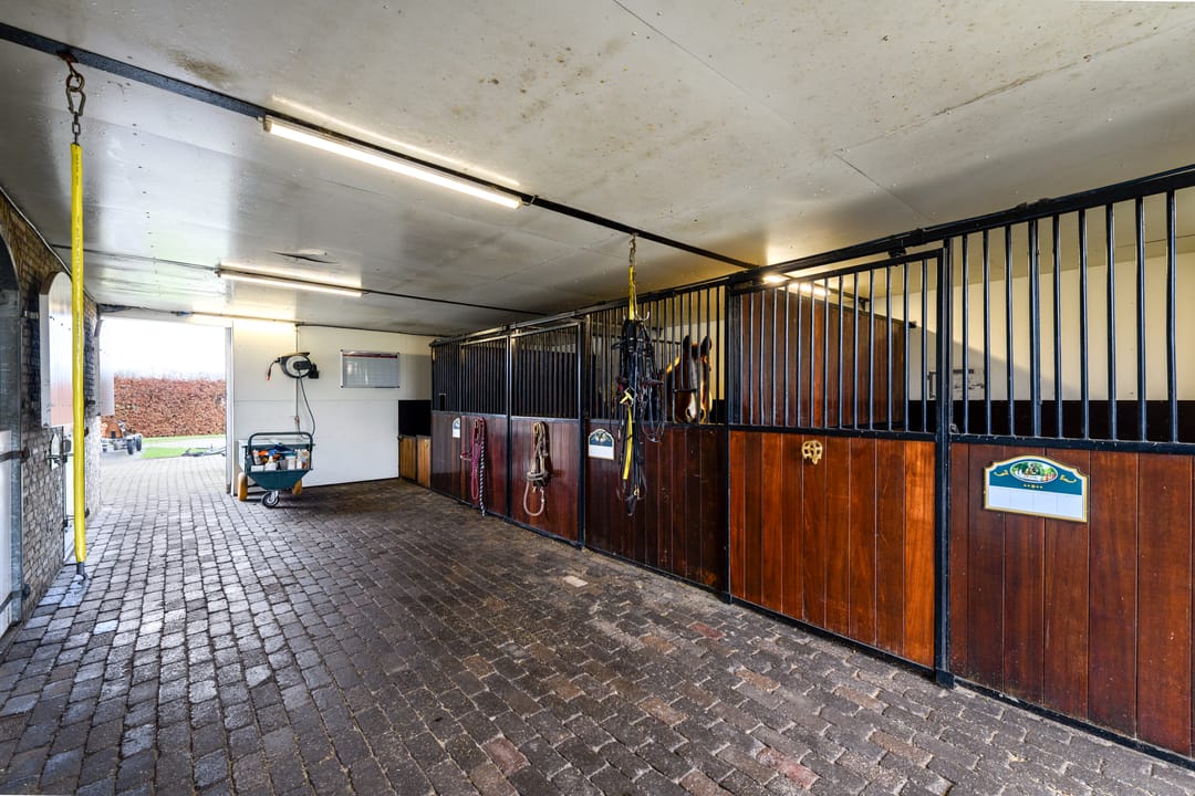 Foto 41 van Schoterlandseweg 8