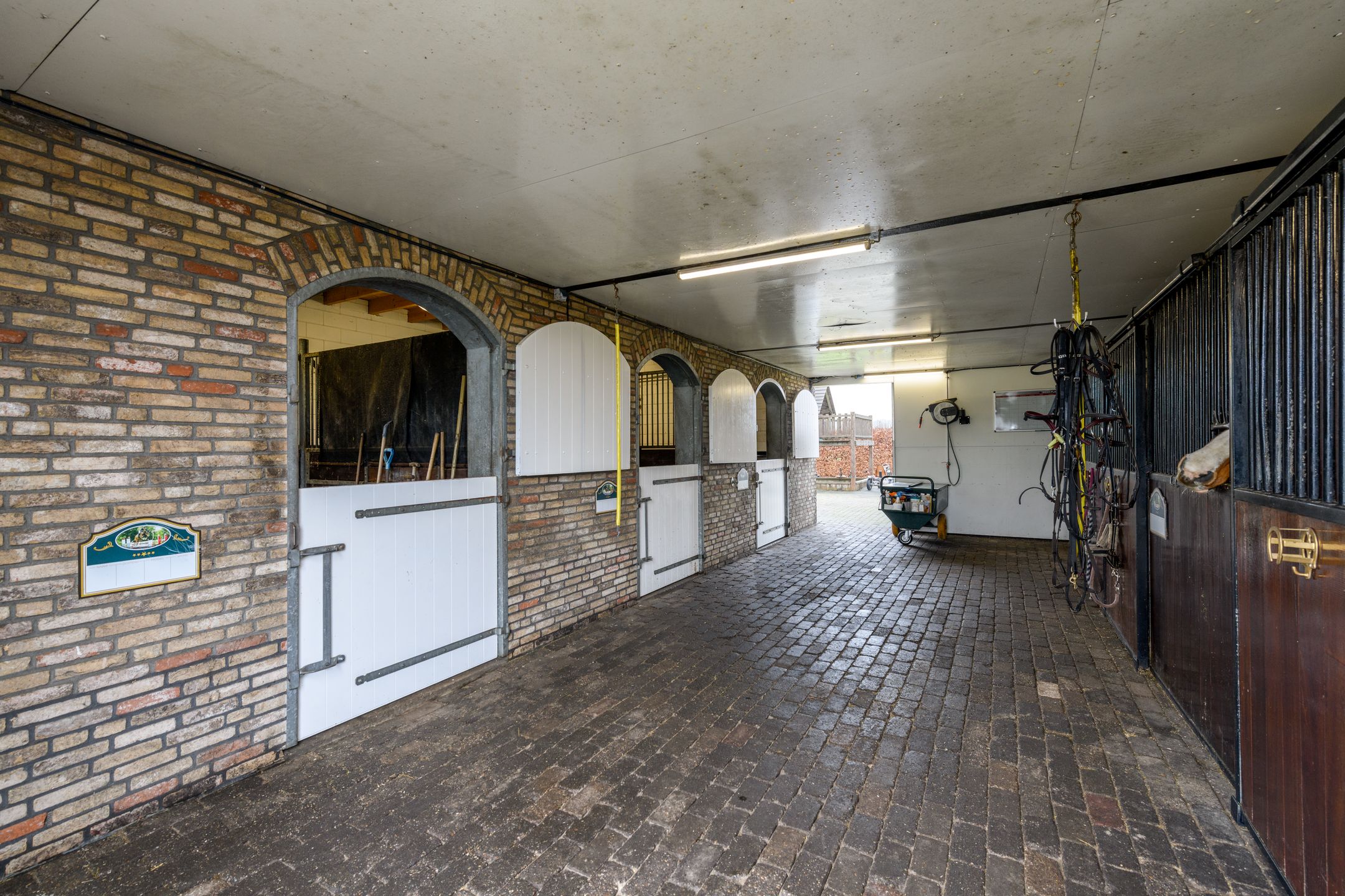 Foto 42 van Schoterlandseweg 8