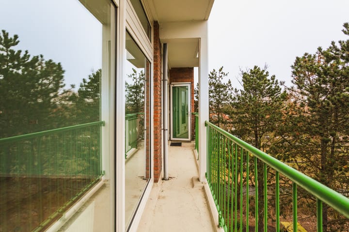 Foto 19 van Ranonkelstraat 373