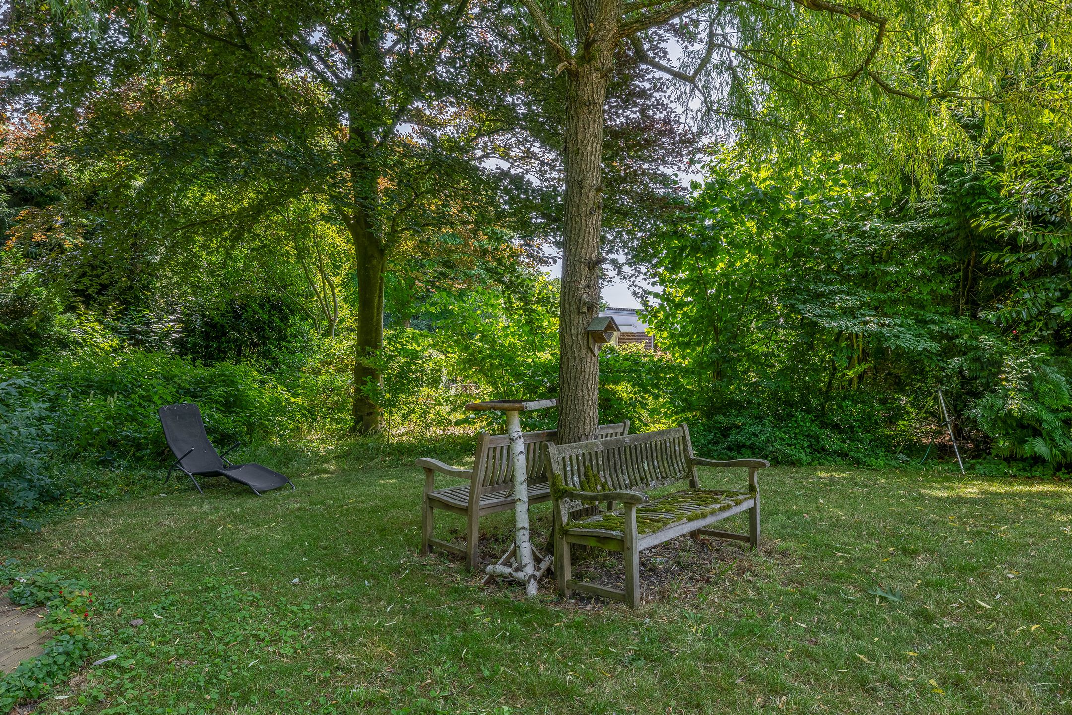 Foto 39 van den Daal 22