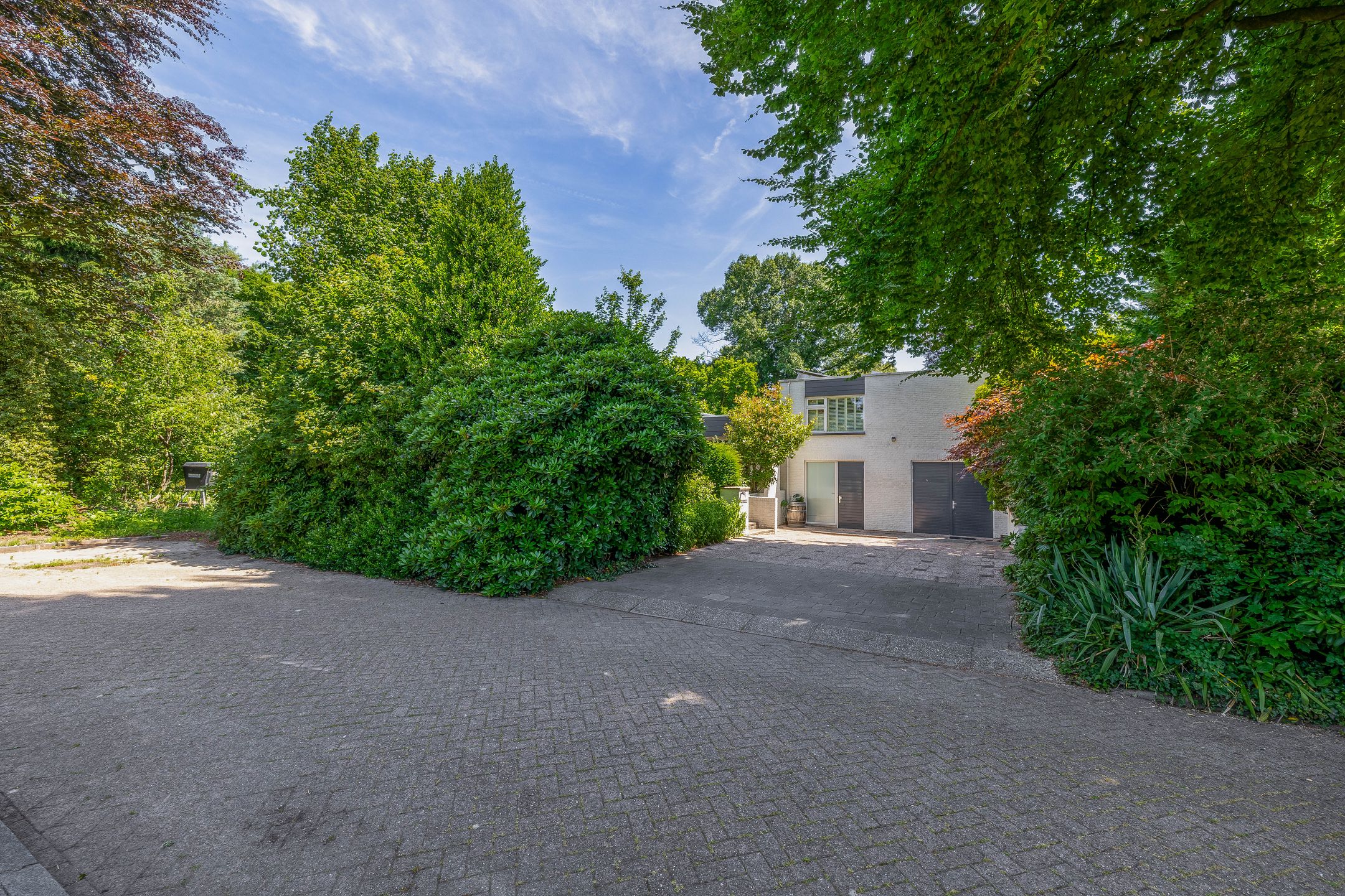 Foto 45 van den Daal 22