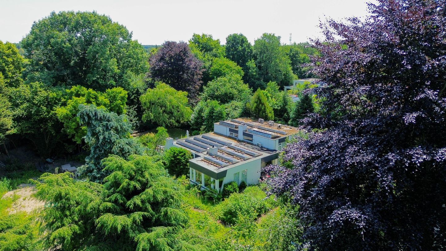 Foto 55 van den Daal 22