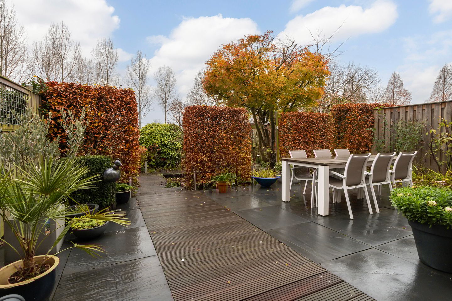 Foto 5 van Palissander 195