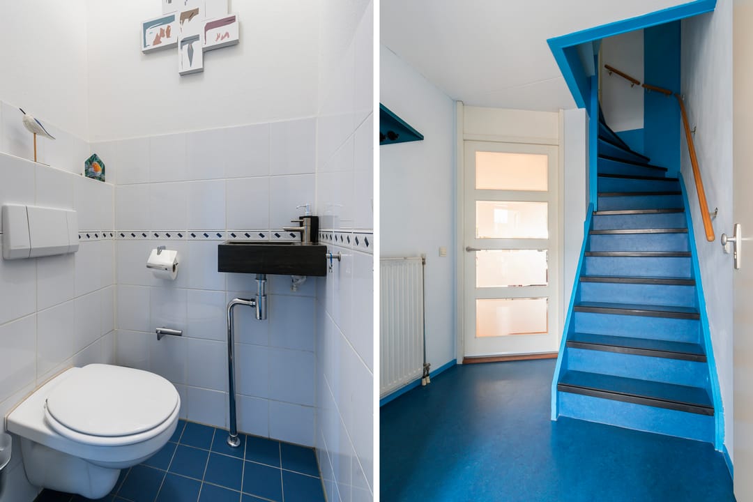 Foto 7 van Palissander 195