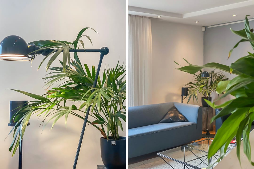 Foto 13 van Palissander 195