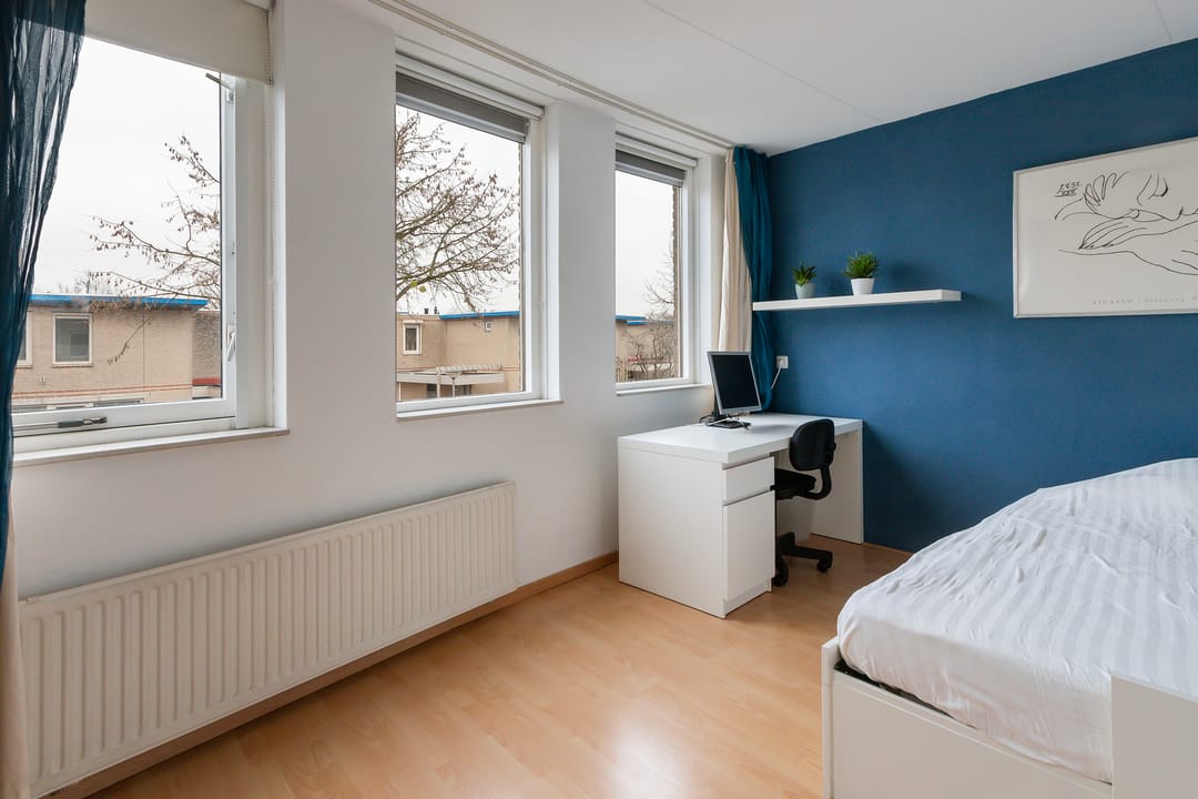 Foto 17 van Palissander 195