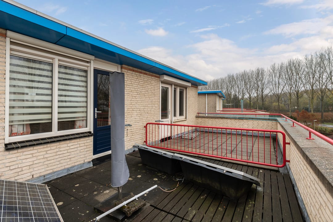 Foto 31 van Palissander 195