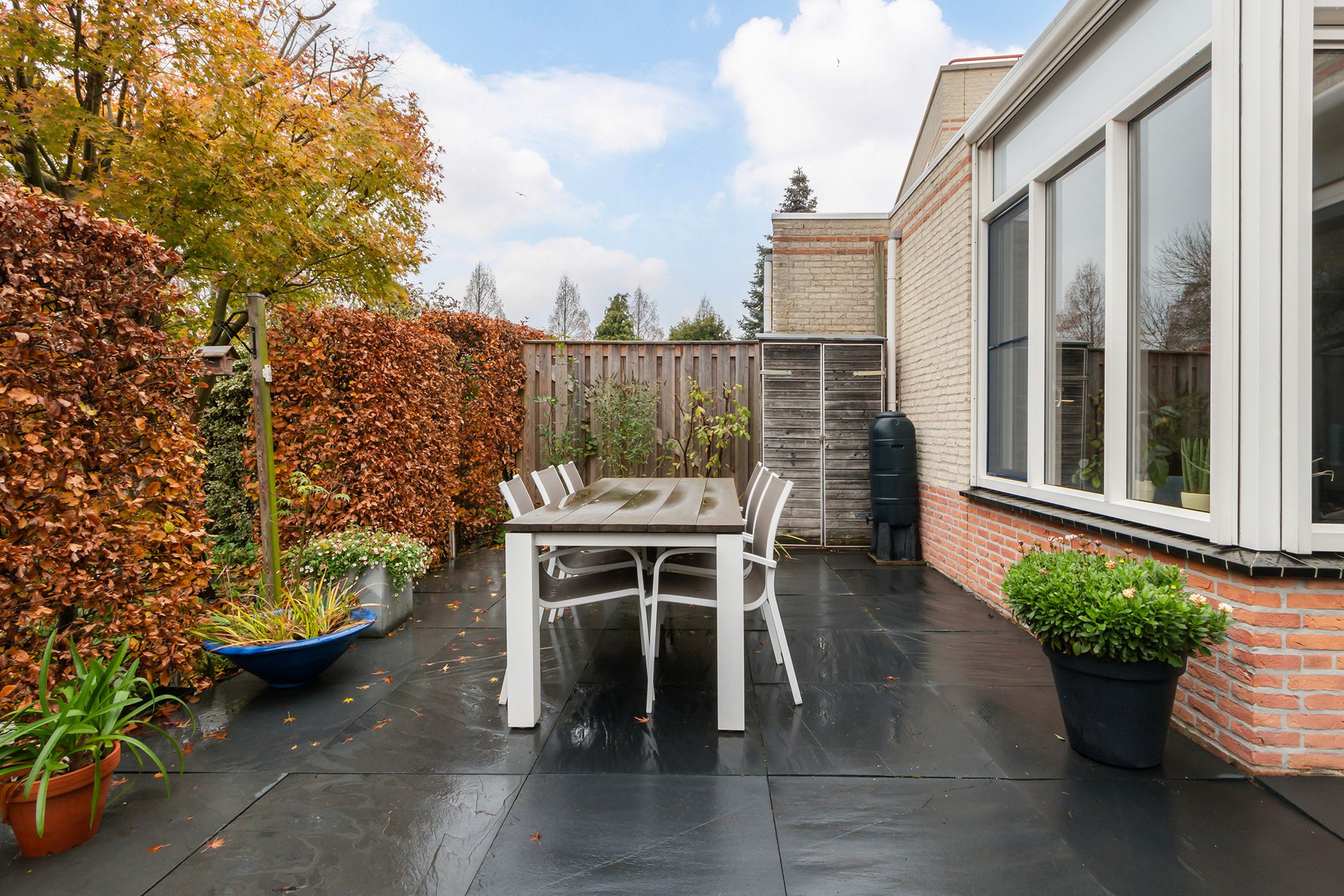 Foto 33 van Palissander 195