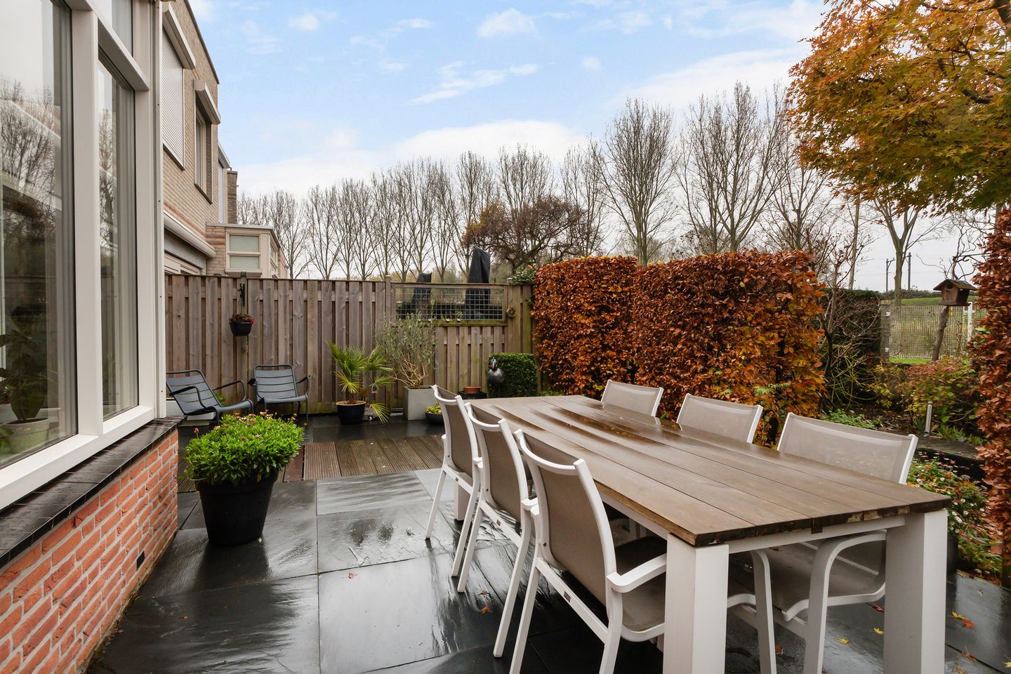 Foto 34 van Palissander 195