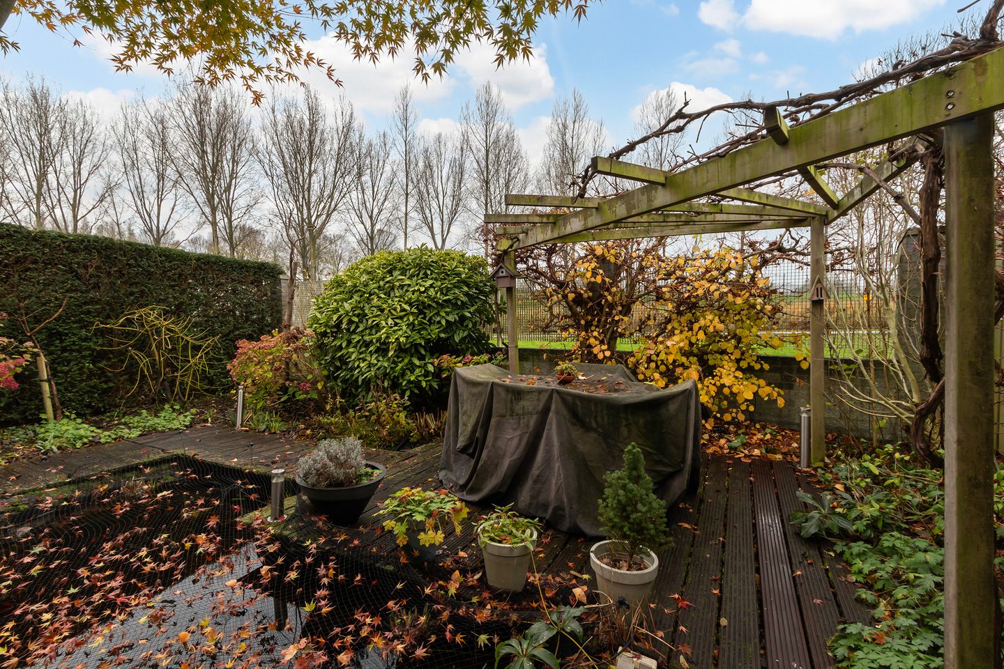 Foto 35 van Palissander 195