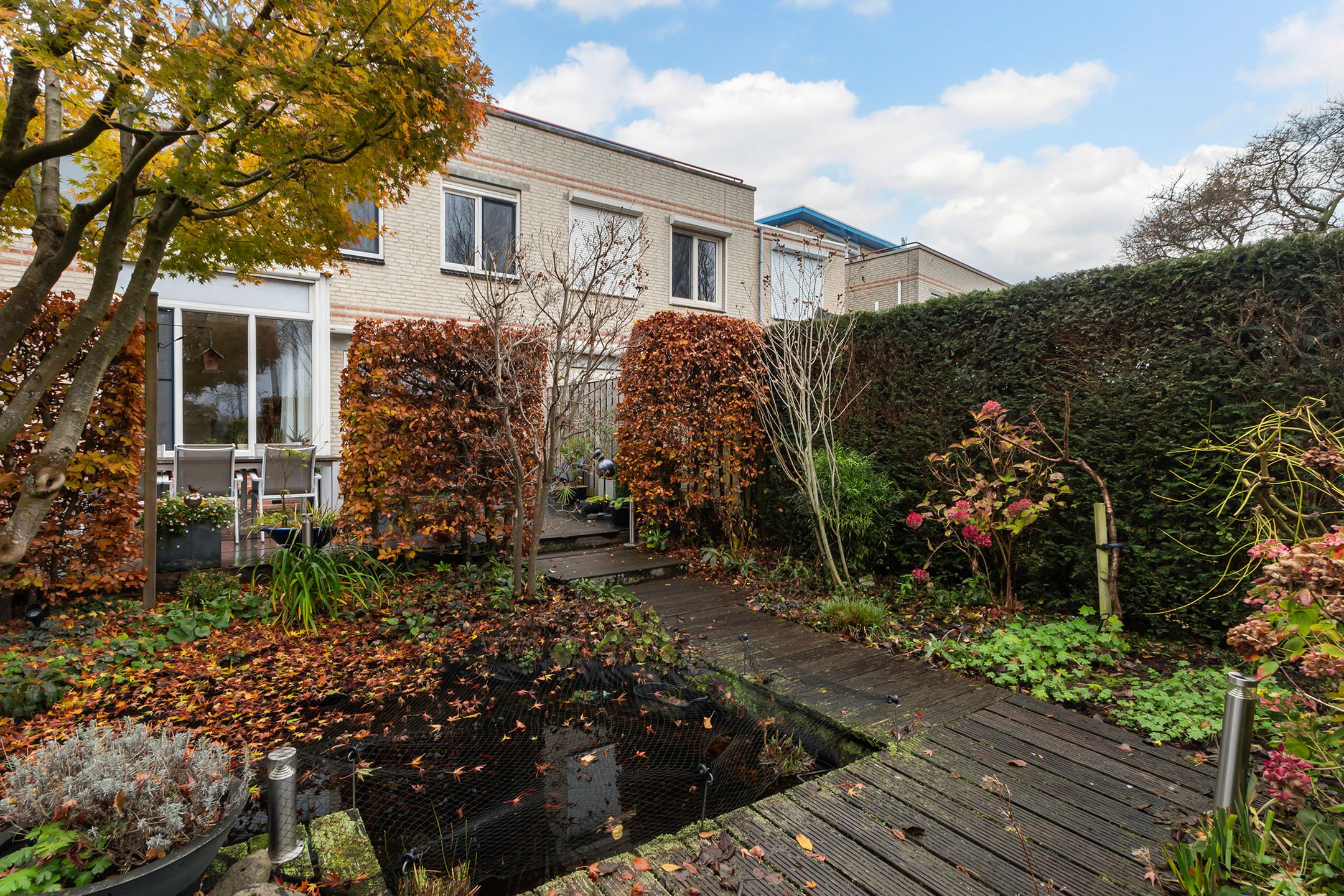 Foto 36 van Palissander 195