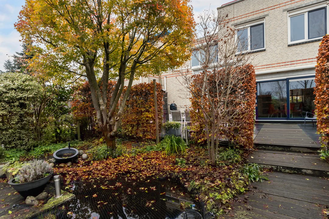 Foto 37 van Palissander 195