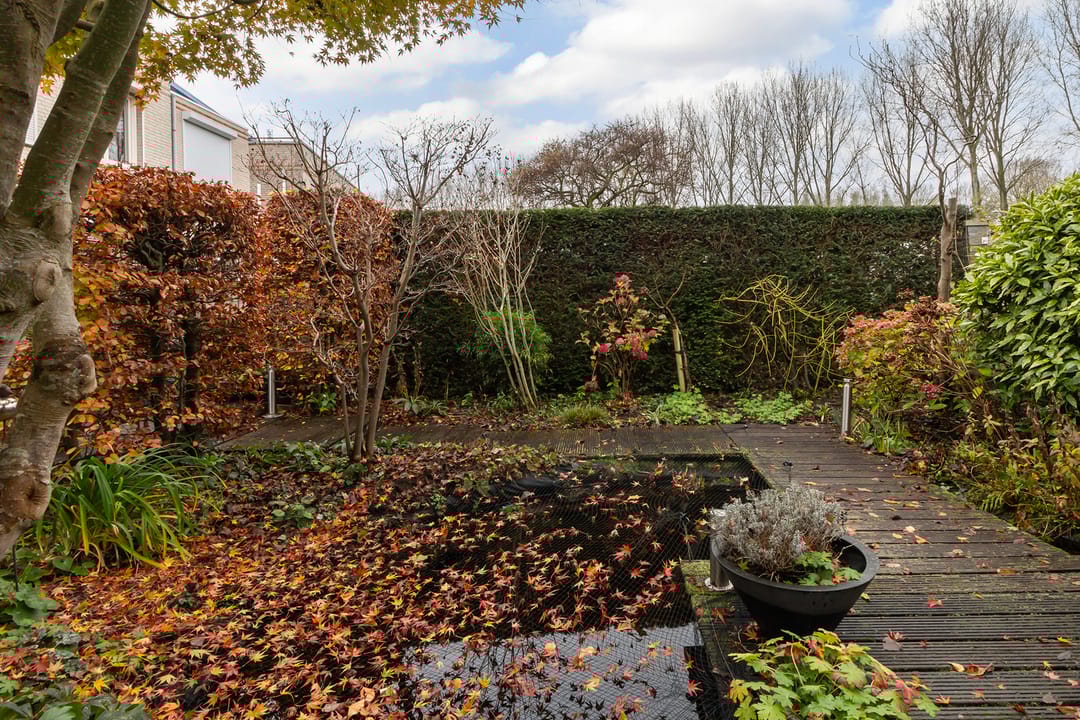 Foto 38 van Palissander 195