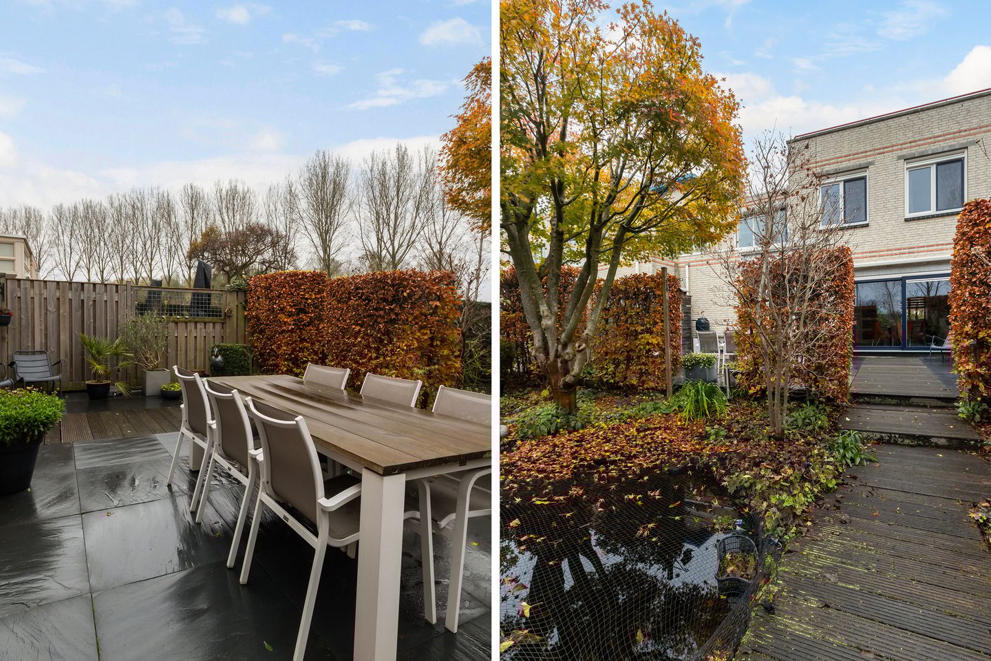 Foto 40 van Palissander 195