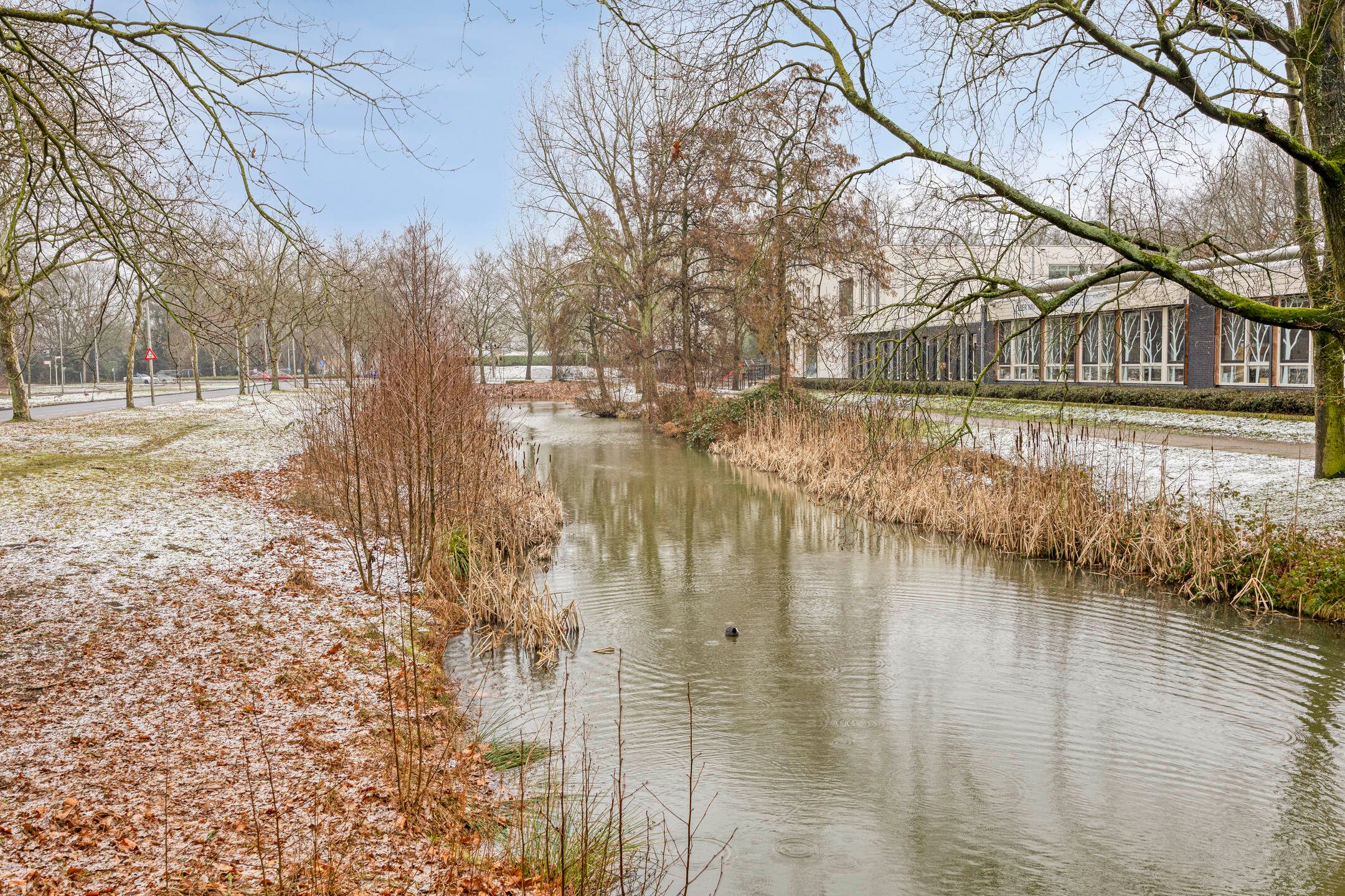 Foto 36 van Vivaldistraat 44