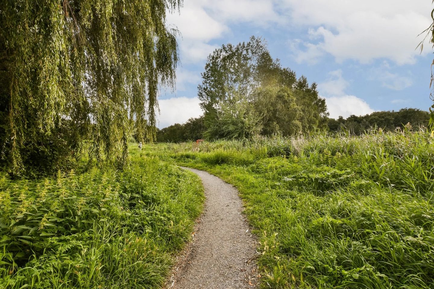 Foto 35 van De Gasperilaan 29