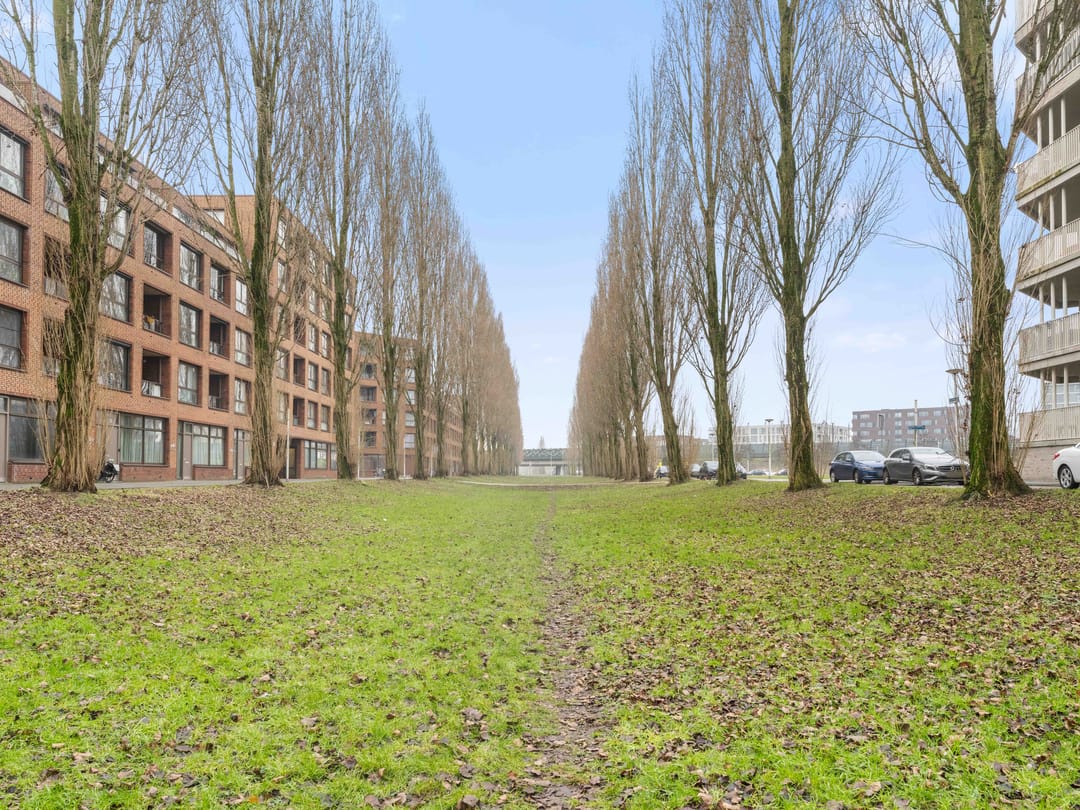 Photo 37 of Glenn Millerpad 12