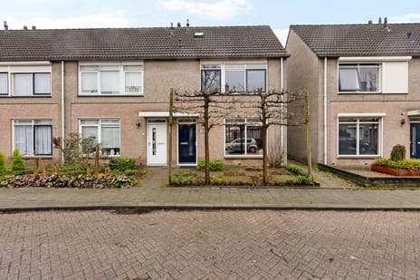 undefined main image