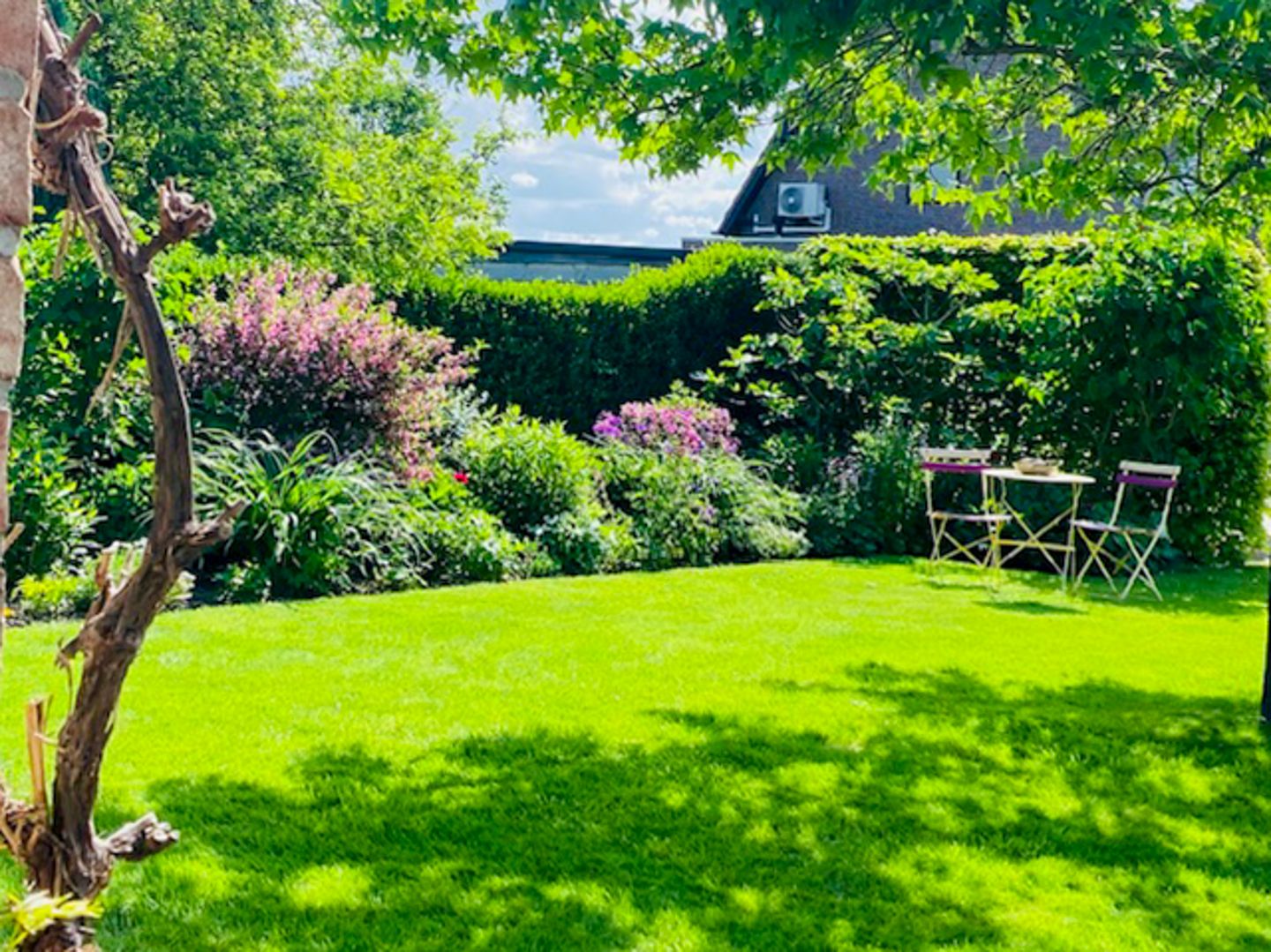 Foto 74 van Passtraat 72