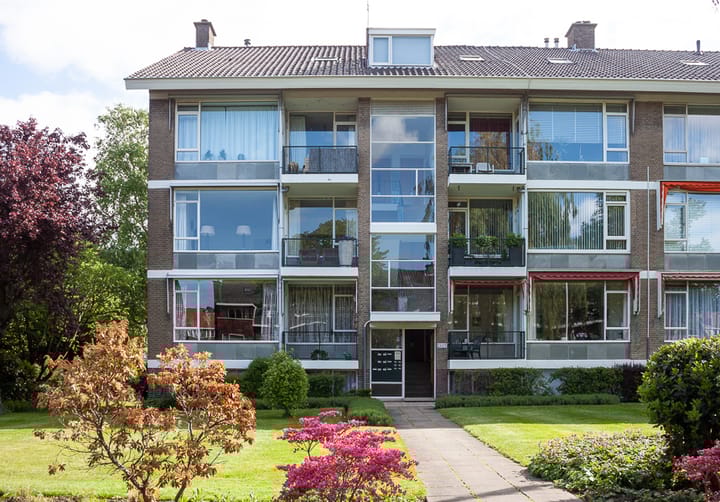 Foto 2 van Laan van Nieuw Oosteinde 123-D