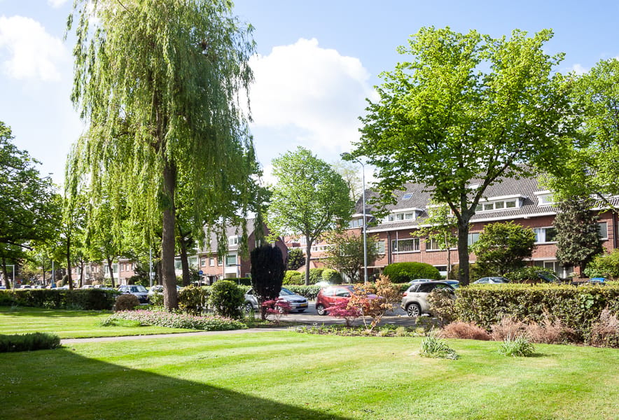 Foto 6 van Laan van Nieuw Oosteinde 123-D