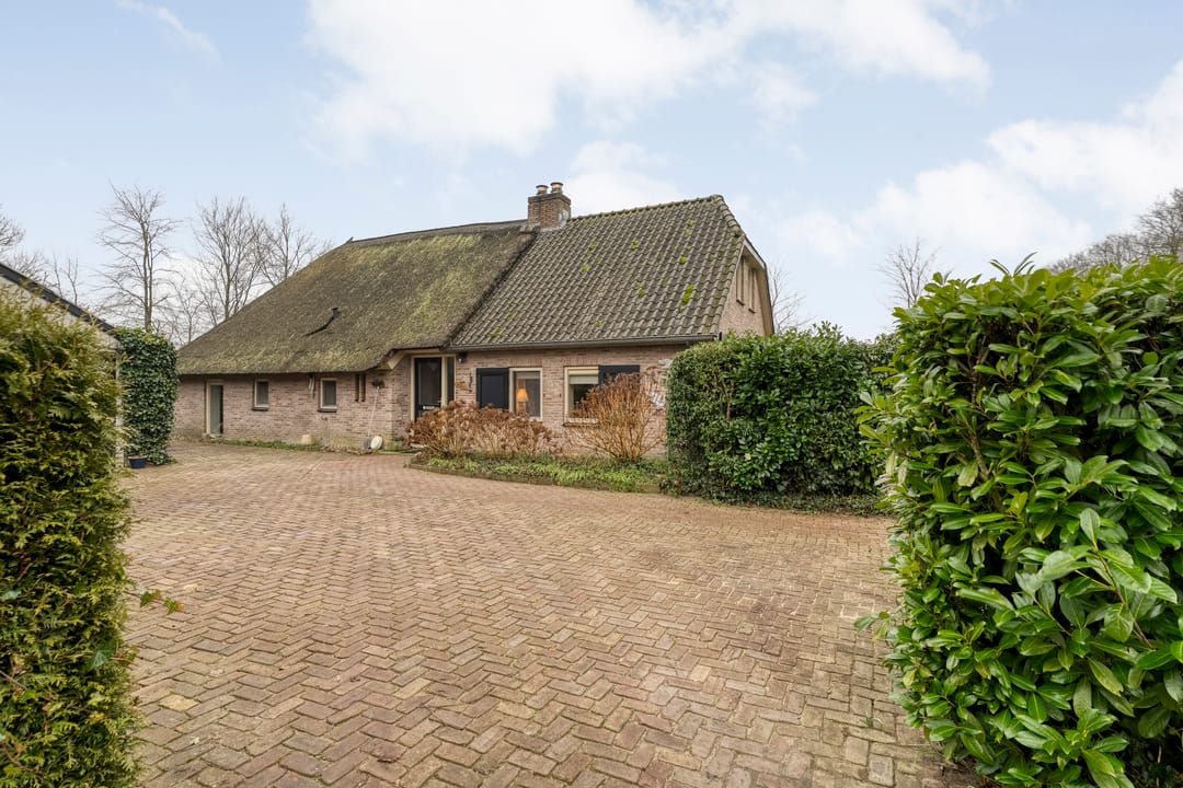 Foto 16 van Zuurbeek 20