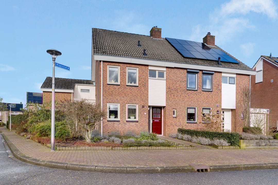 Foto 7 van Wilgenstuk 1