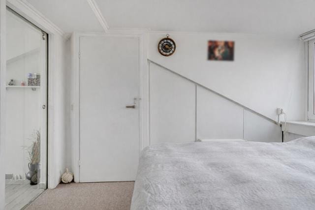 Photo 31 of Charlotte van Pallandthof 81