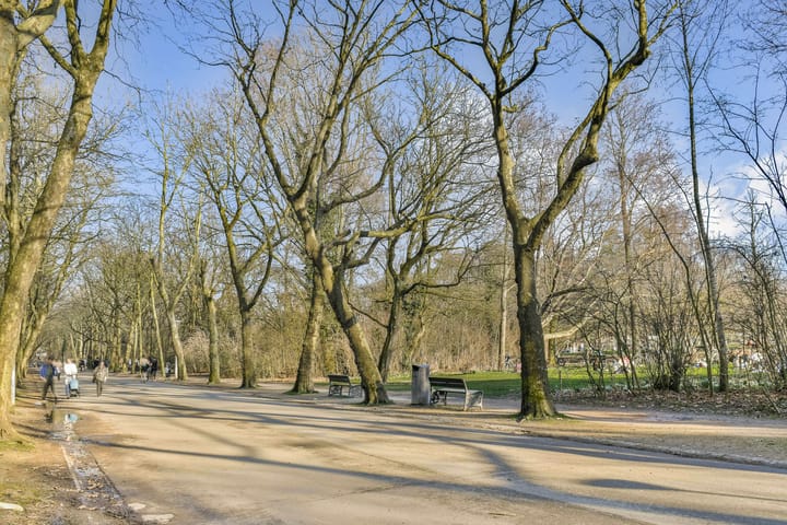 Foto 22 van Frederiksstraat 33-H