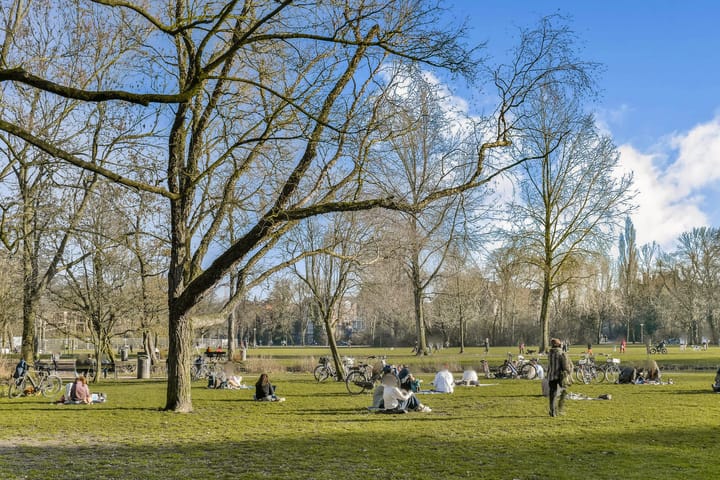 Foto 23 van Frederiksstraat 33-H