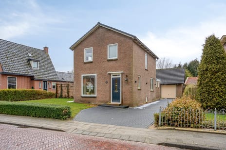 undefined main image