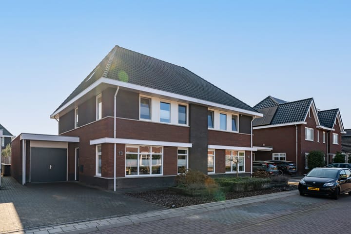 Koolmees 13 main image