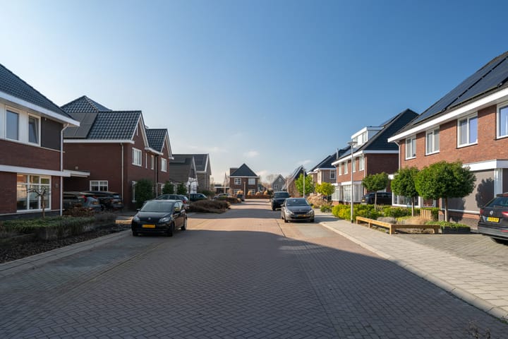 Foto 3 van Koolmees 13