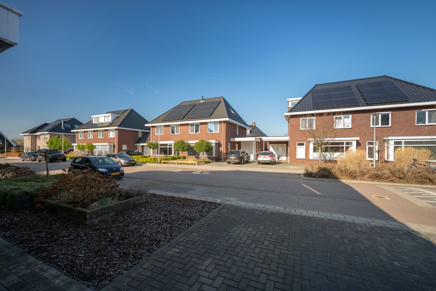 Photo 4 of Koolmees 13