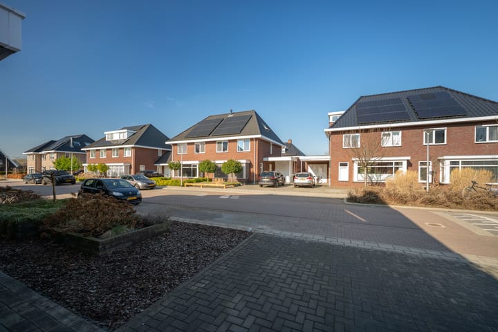 Foto 4 van Koolmees 13