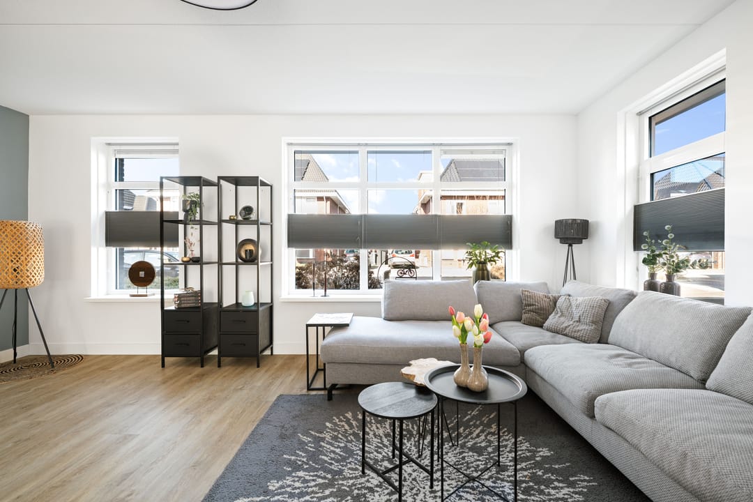 Photo 8 of Koolmees 13