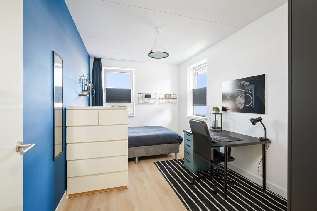 Photo 17 of Koolmees 13