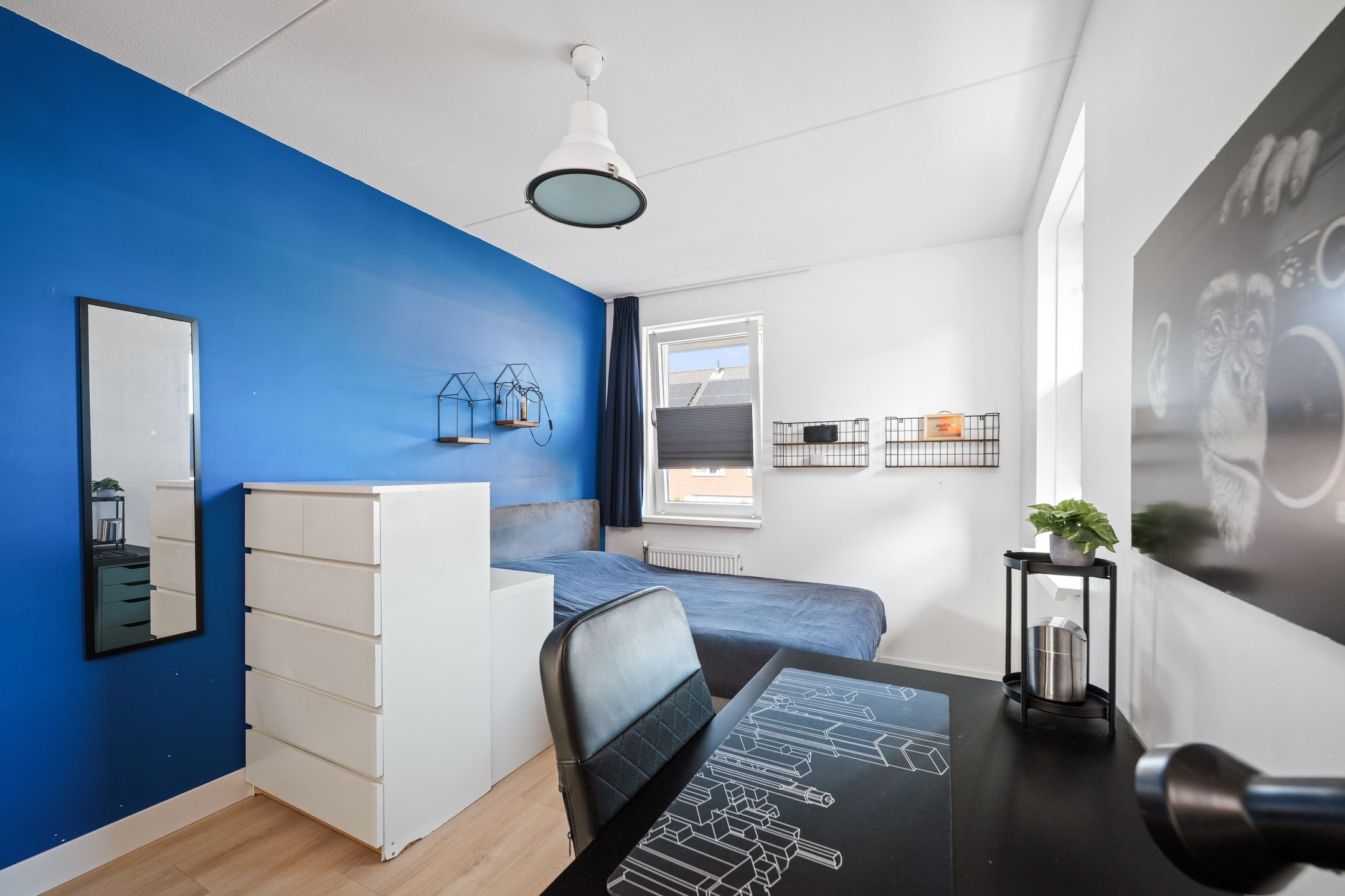 Photo 18 of Koolmees 13