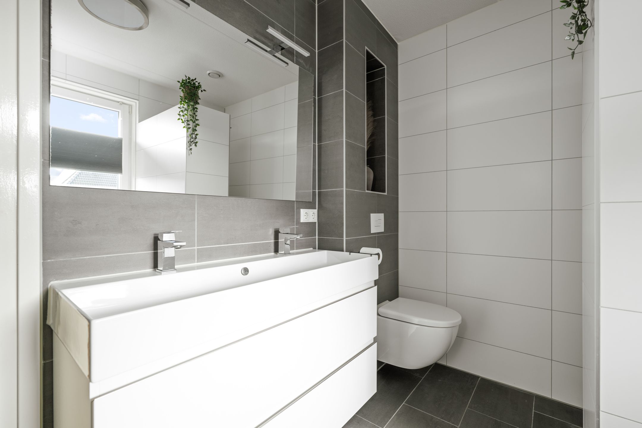 Photo 24 of Koolmees 13