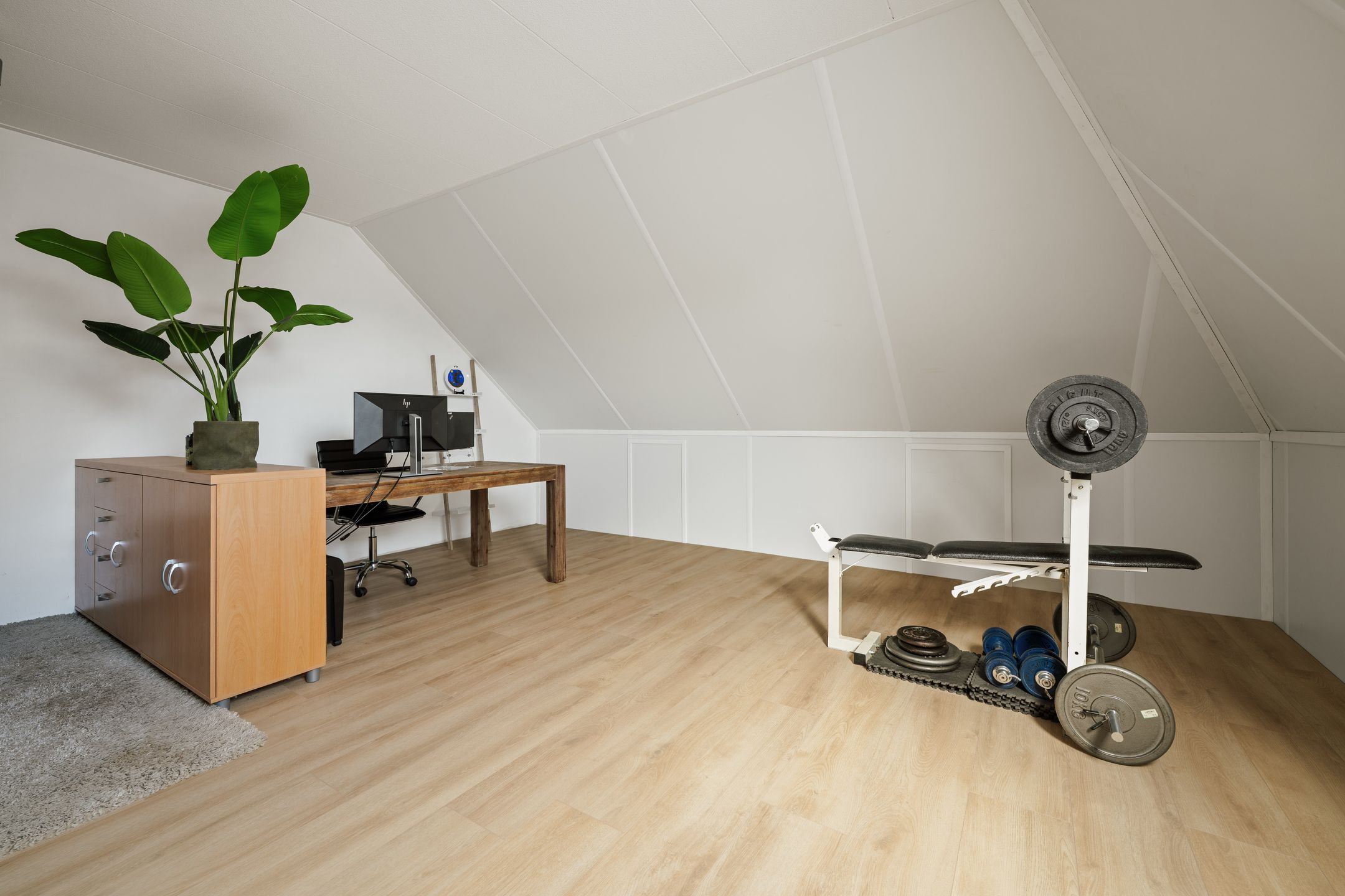 Photo 27 of Koolmees 13