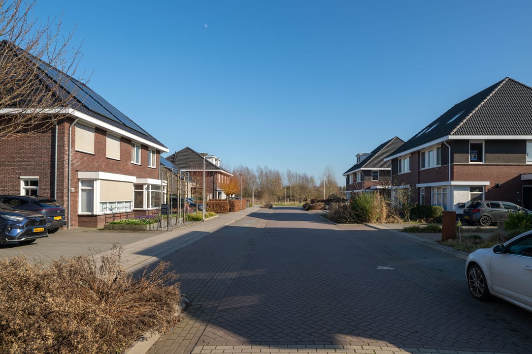 Photo 2 of Koolmees 13