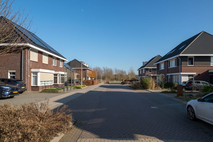 Foto 2 van Koolmees 13