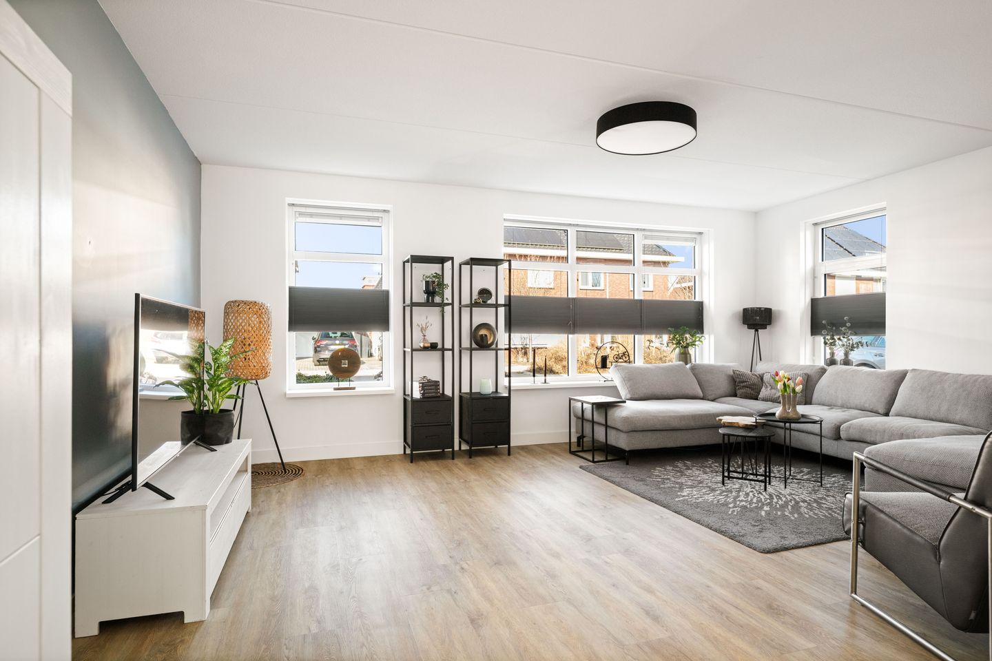 Photo 5 of Koolmees 13