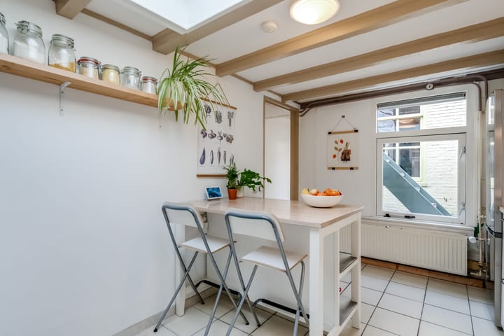 Extended Skipper's House with Patio and Rooftop Terrace in Tuinwijk — 44