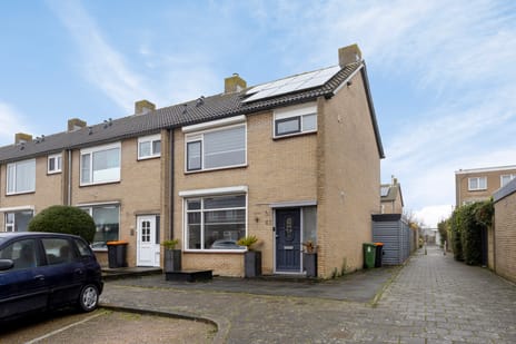 Van Hallstraat thumbnail